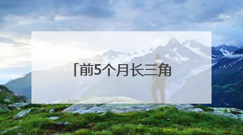 前5个月长三角地区进出口总值增长5.2%